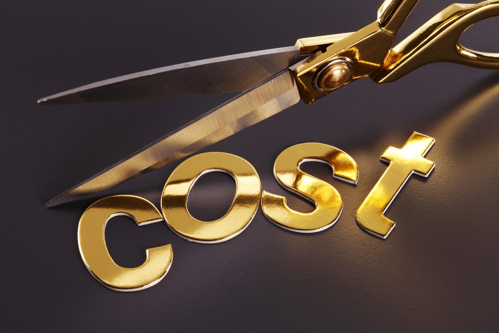 Hard-hitting Tips for Cost Cutting