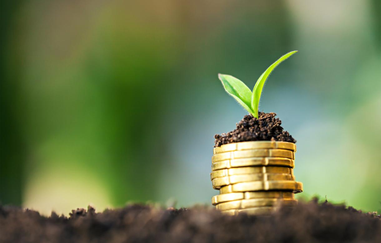 Fairy Tale Funerals and Debt Haunted Lives