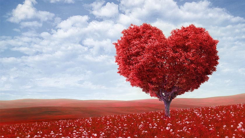 Valentine's Day South Africa