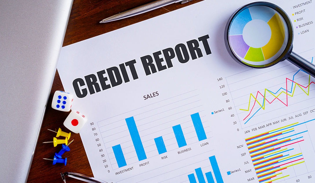 The ultimate guide to credit reports