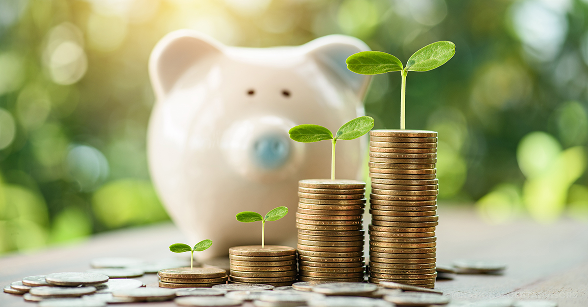 how to grow your money how to grow your money